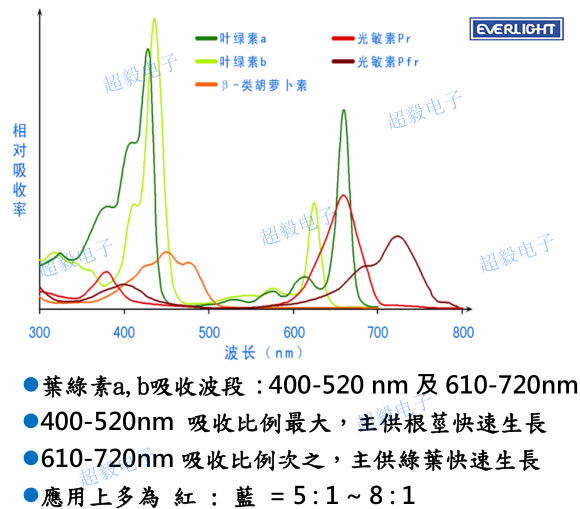 无土栽培LED植物工厂望成未来农业趋势